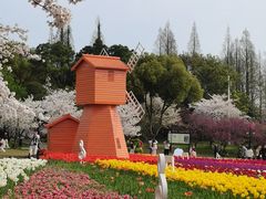 -苏州上方山国家森林公园