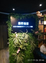 点击看大图 -藤野造型