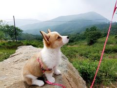 -阳台山自然风景区