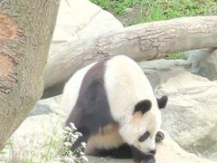 -宁波野生动物园