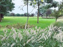 -汉长安城未央宫国家考古遗址公园