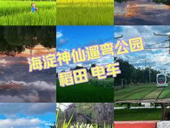 -北坞公园