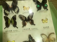 -蝴蝶泉公园