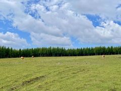 -塞罕坝国家级自然保护区