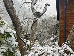 -芳草地度假酒店·野炉中餐厅