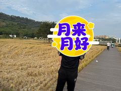 -风云岭森林公园