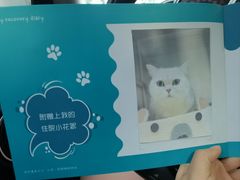 -美联众合动物医院·24h转诊中心