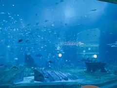 -亚特兰蒂斯•OSSIANO奥西亚诺海底餐厅