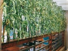 -好旺角齐市鲜切牛自助烤肉(农林五道街总店)