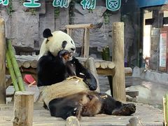 -栾川竹海野生动物园