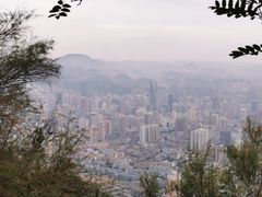 -兰山公园
