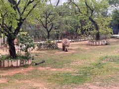 -深圳野生动物园