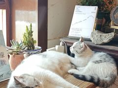 -甲乙丁書店·书茶咖·四合院