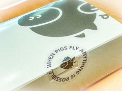 -WHEN PIGS FLY当猪飞