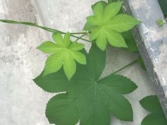 -第十机动车安全检测站