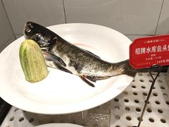 -梁家大院•农家菜(马陆店)