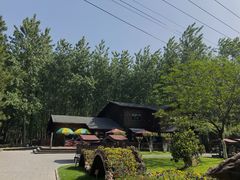 -合肥滨湖国家森林公园