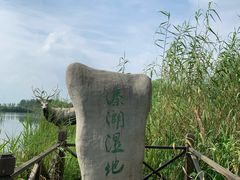 -溱湖国家湿地公园