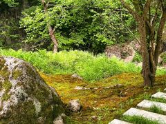 -苍龙峡风景区