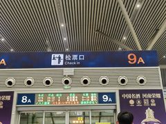 -郑州东站