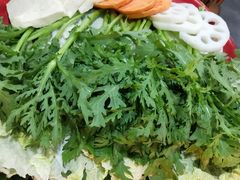 -东镇老火锅(长春路首店)