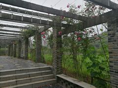 -龙寺生态园