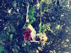 -佐佑帐篷环游记(南锣鼓巷店)