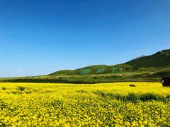 -扁都口生态休闲旅游区