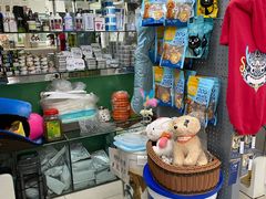 -利又安动物医院··老年病·猫科犬科·中兽医