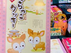 -奈良公园