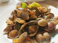 辣炒花蛤-宾朋海鲜特色美食餐厅·纯手工鲅鱼水饺(兴海路店)