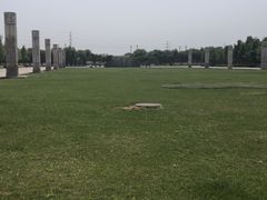 -石家庄市植物园