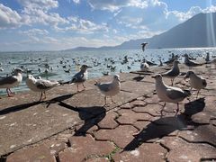-滇池海埂公园