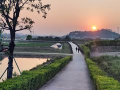 -长洲岛