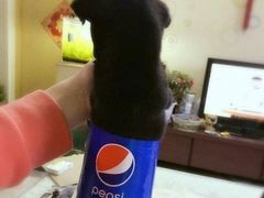 -弓舍射箭俱乐部(高新总店)