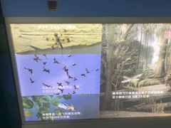-上海昆虫博物馆
