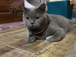 -青木造型HAIR·あおき髪を刈る潮人店