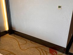 -碧桂园凤凰城酒店(南京店)