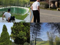 -泽雅景区