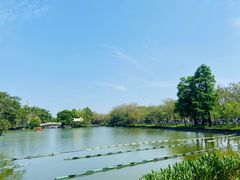 -东山湖公园