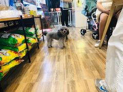 -喵汪宠物生活馆(涞坊路店)