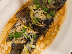 -木柴豆腐·活海鲜·鲁菜(岚山路店)