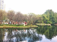 -晓港公园
