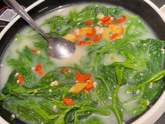 -羽鸽集·乳鸽专门店·地道顺德菜(岭南站店)