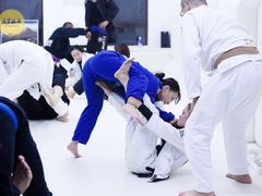 -菠萝格斗巴西柔术训练馆