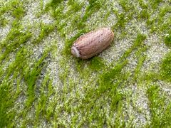 -惠州金海湾嘉华度假酒店