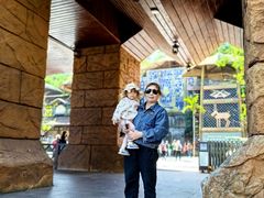 -海南槟榔谷黎苗文化旅游区