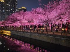 -西北湖绿化广场