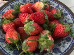 -老广烧烤(骆驼山康馨园店)