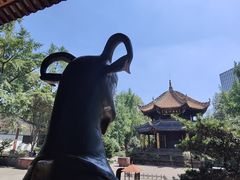 -青羊宫